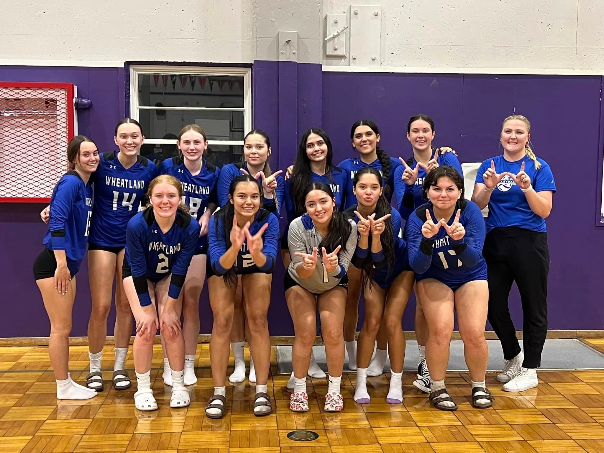 Volleyball - Girls Varsity Banner